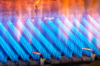 Sibbaldbie gas fired boilers
